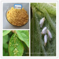 CAS 150824-47-8 Technical Grade wholesale pure nitenpyram powder 98%